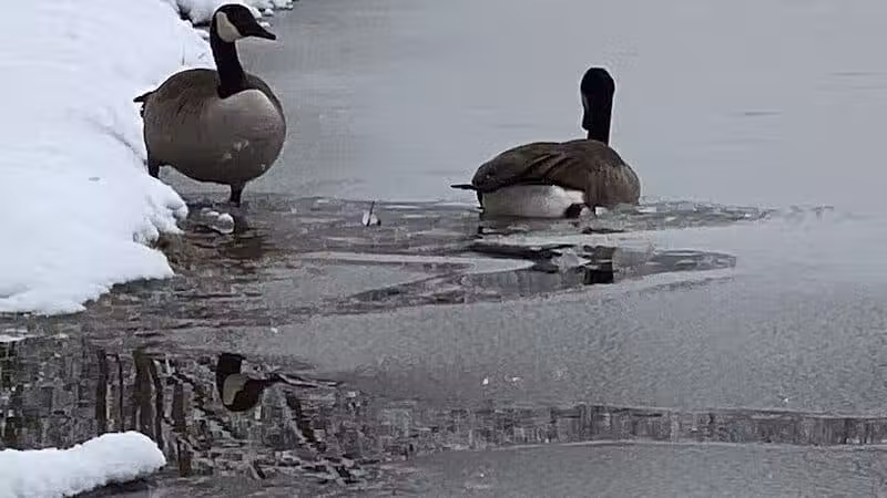 Shadow Lake - Solon, OH