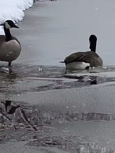 Shadow Lake - Solon, OH