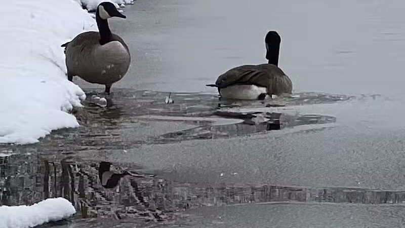 Shadow Lake - Solon, OH