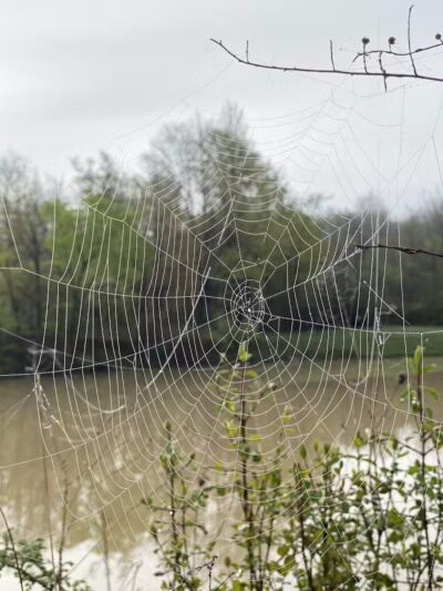 Shadow Lake - Solon, OH