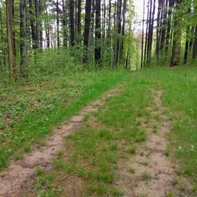 Shadow Lake Picnic Area - Solon, OH