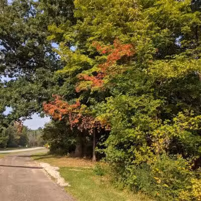 Shadow Lake Picnic Area - Solon, OH
