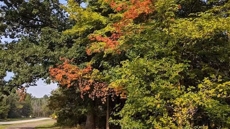 Shadow Lake Picnic Area - Solon, OH