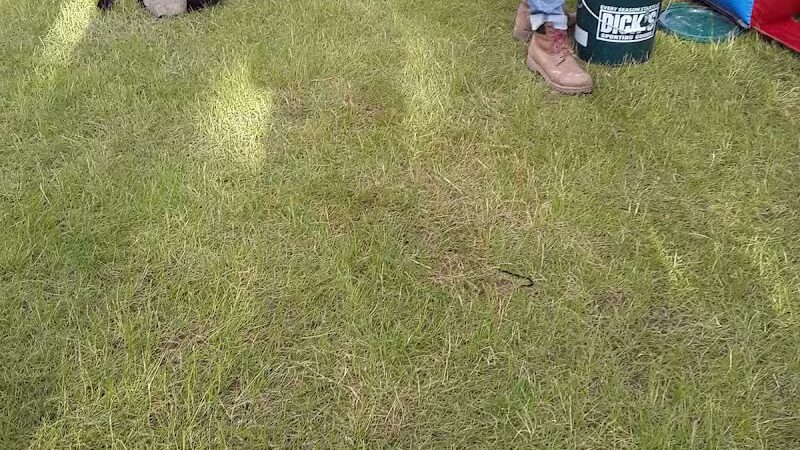 Solon Community Park - Solon, OH