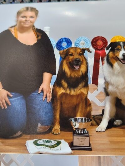 Canine Frenzy Versatility Training LLC - Somerton, OH