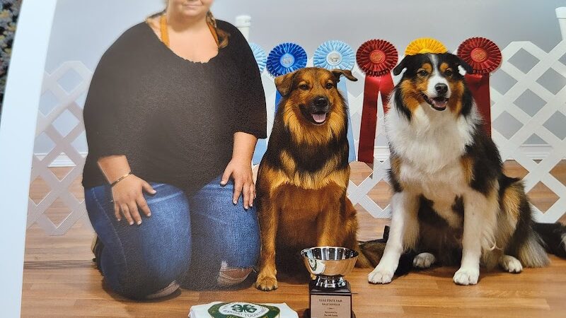 Canine Frenzy Versatility Training LLC - Somerton, OH