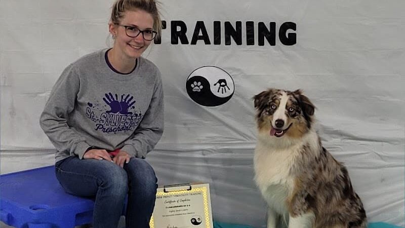 Canine Frenzy Versatility Training LLC - Somerton, OH