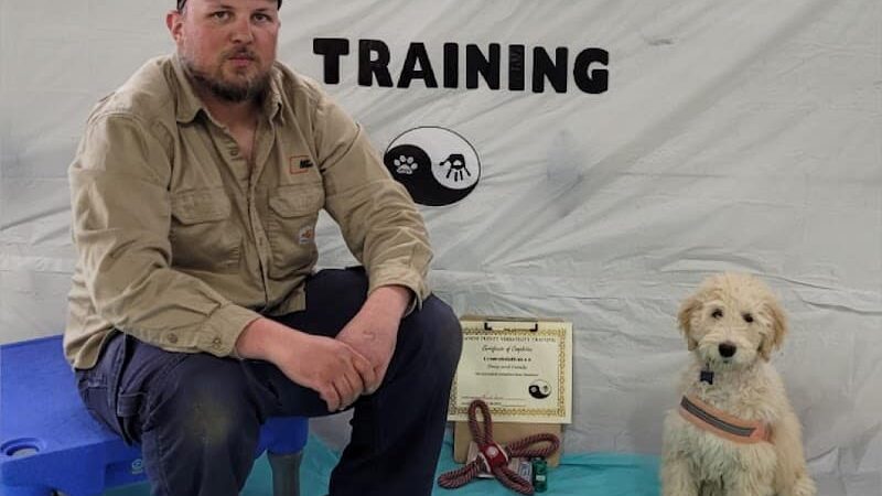 Canine Frenzy Versatility Training LLC - Somerton, OH