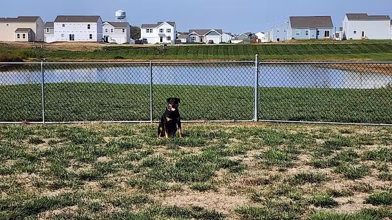 Bark Park - South Bloomfield, OH