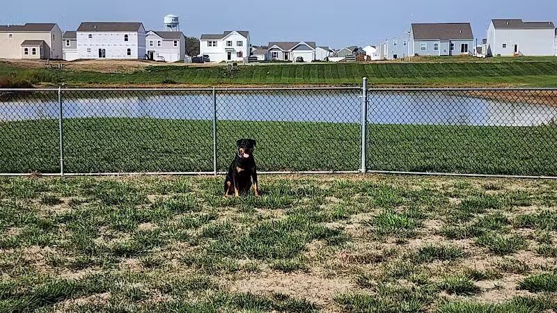Bark Park - South Bloomfield, OH