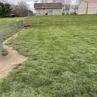 Bark Park - South Bloomfield, OH