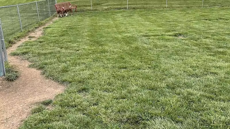 Bark Park - South Bloomfield, OH