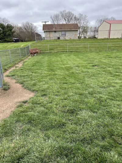 Bark Park - South Bloomfield, OH