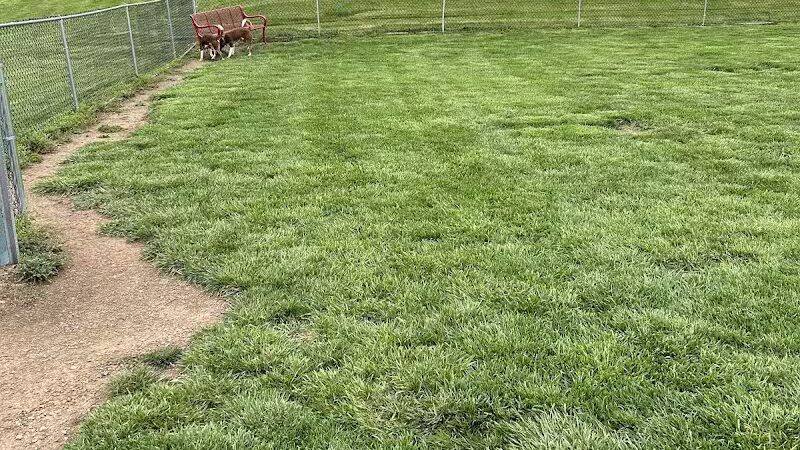 Bark Park - South Bloomfield, OH