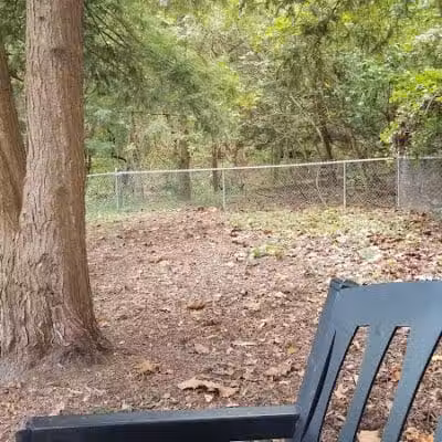 Joplin Dog Park - South Charleston, WV