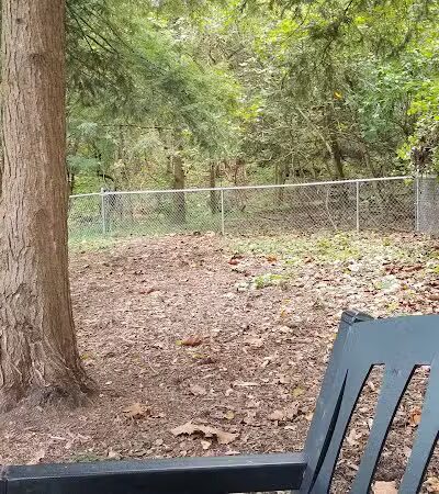 Joplin Dog Park - South Charleston, WV