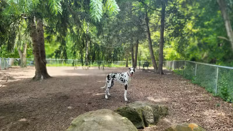 Joplin Dog Park - South Charleston, WV