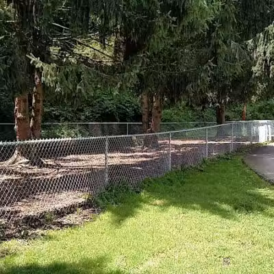 Joplin Dog Park - South Charleston, WV