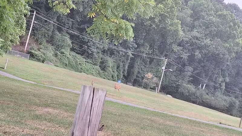 Joplin Dog Park - South Charleston, WV