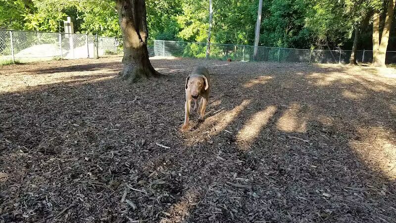 Joplin Dog Park - South Charleston, WV