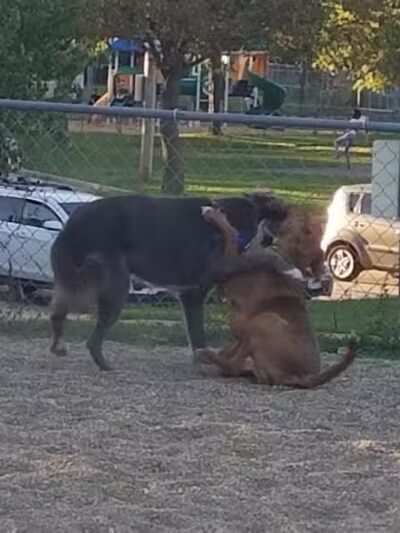 Quarry Park North - South Euclid, OH