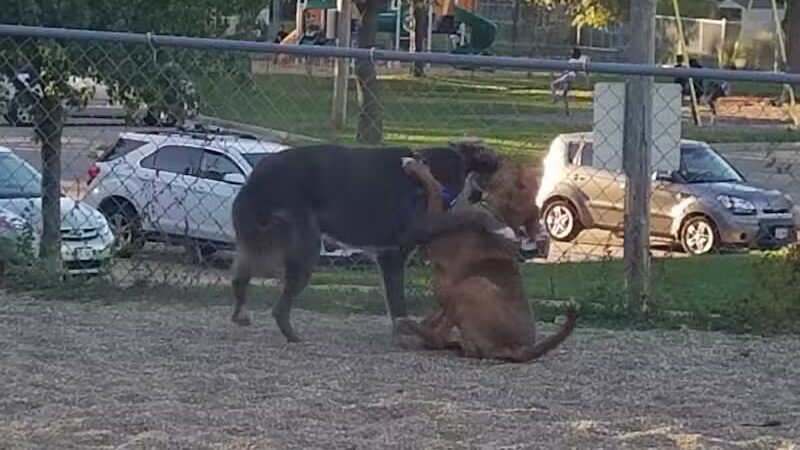 Quarry Park North - South Euclid, OH