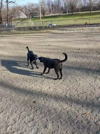Quarry Park North - South Euclid, OH