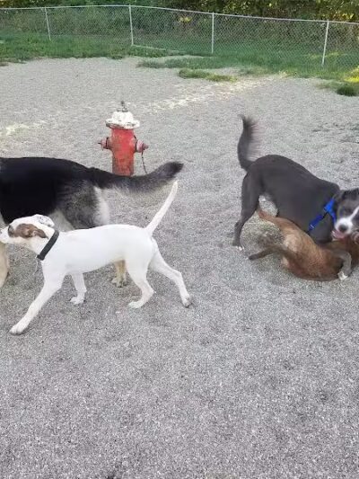 Quarry Park North - South Euclid, OH