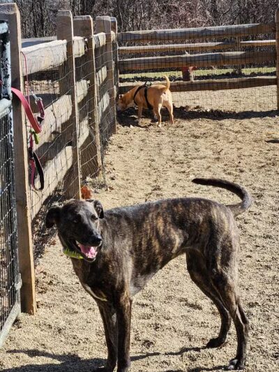 Quarry Park North - South Euclid, OH