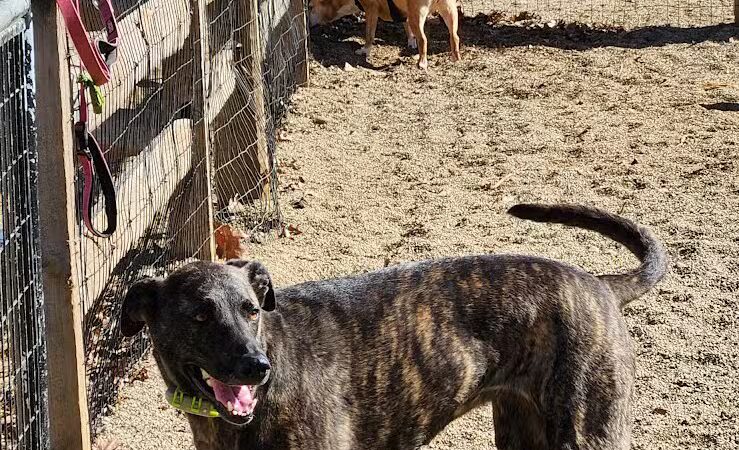 Quarry Park North - South Euclid, OH