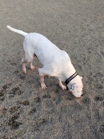 Quarry Park North - South Euclid, OH