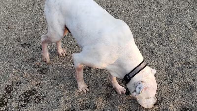 Quarry Park North - South Euclid, OH