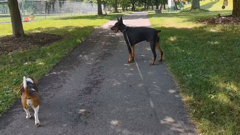 South Williamsport Dog Park - South Williamsport, PA