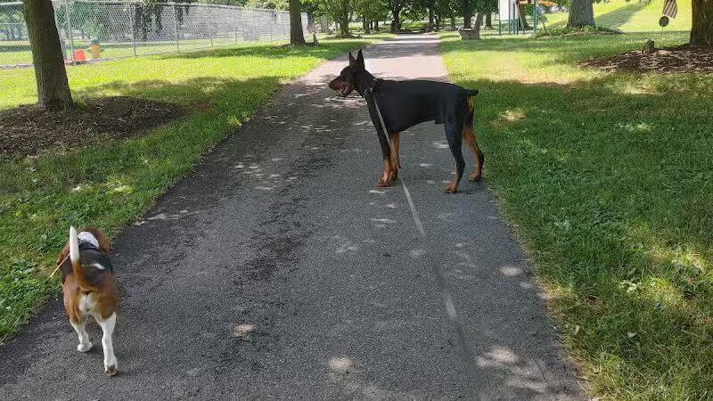 South Williamsport Dog Park - South Williamsport, PA