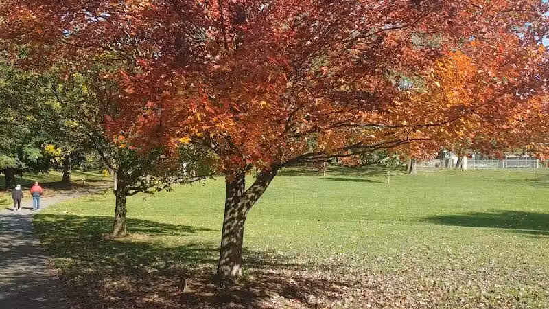 South Williamsport Dog Park - South Williamsport, PA