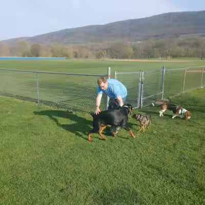 South Williamsport Dog Park - South Williamsport, PA