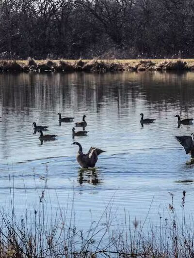 Letha House Park West - Spencer, OH