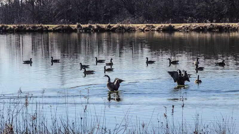 Letha House Park West - Spencer, OH