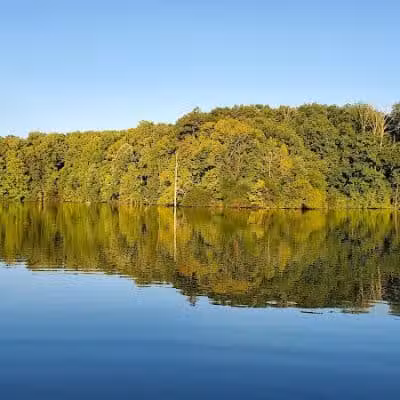 Spencer Lake Wildlife Area - Spencer, OH