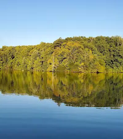 Spencer Lake Wildlife Area - Spencer, OH