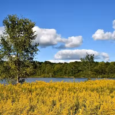 Spencer Lake Wildlife Area - Spencer, OH