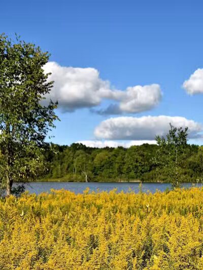 Spencer Lake Wildlife Area - Spencer, OH