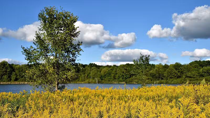 Spencer Lake Wildlife Area - Spencer, OH