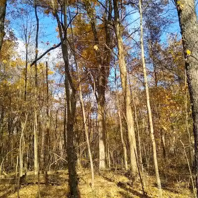 Spencer Lake Wildlife Area - Spencer, OH