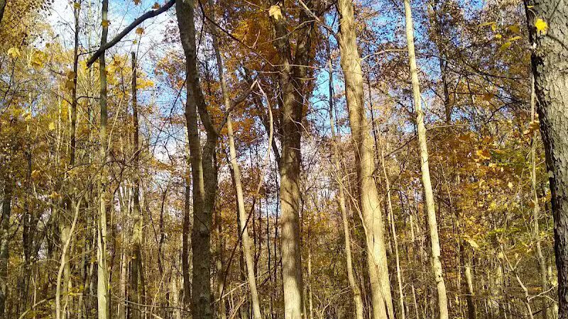 Spencer Lake Wildlife Area - Spencer, OH