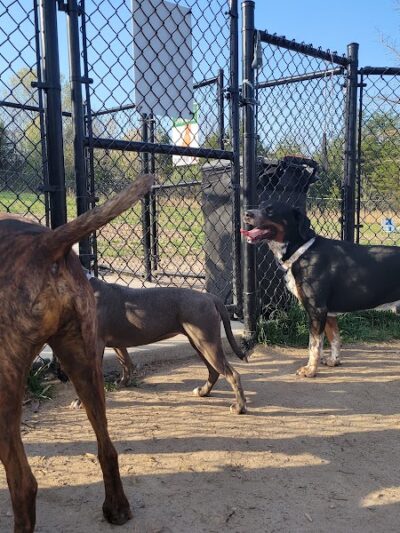 Spotsy Dog Park Inc. - Spotsylvania Courthouse, VA