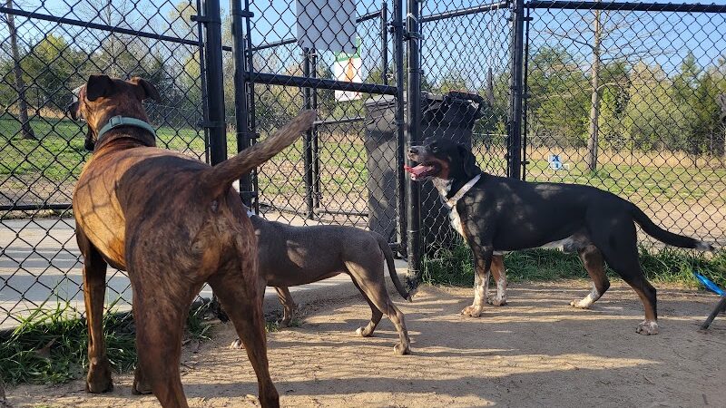 Spotsy Dog Park Inc. - Spotsylvania Courthouse, VA