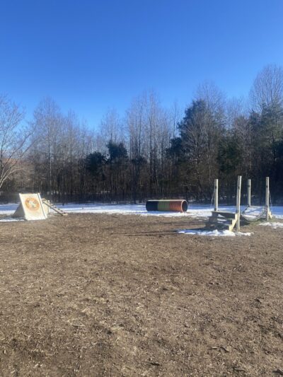 Spotsy Dog Park Inc. - Spotsylvania Courthouse, VA