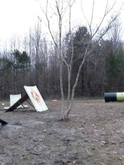 Spotsy Dog Park Inc. - Spotsylvania Courthouse, VA