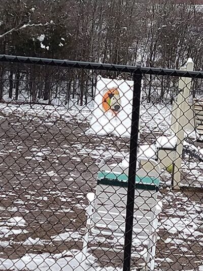 Spotsy Dog Park Inc. - Spotsylvania Courthouse, VA